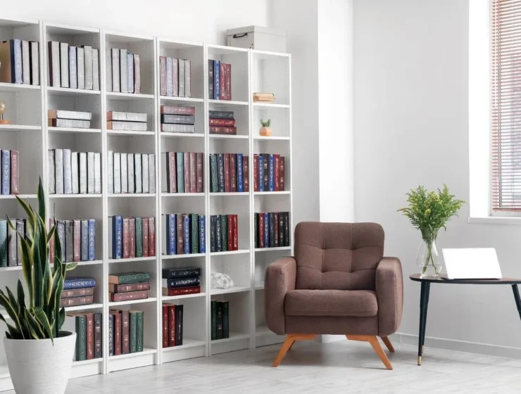 How to store books at home if there are a lot of them