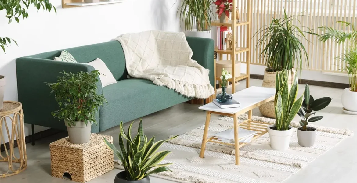 10 economical and eco-friendly ways to update your interior